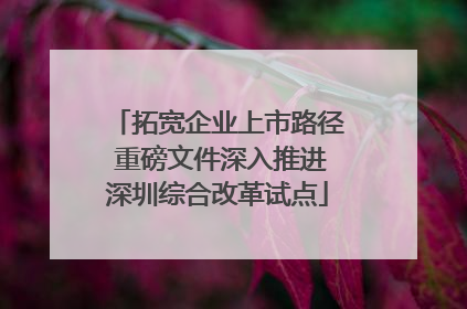 拓宽企业上市路径 重磅文件深入推进深圳综合改革试点