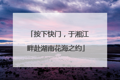 按下快门，于湘江畔赴湖南花海之约