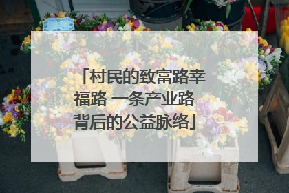 村民的致富路幸福路 一条产业路背后的公益脉络