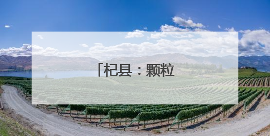 杞县：颗粒归仓丰收忙
