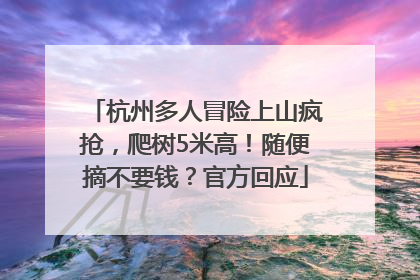 杭州多人冒险上山疯抢，爬树5米高！随便摘不要钱？官方回应
