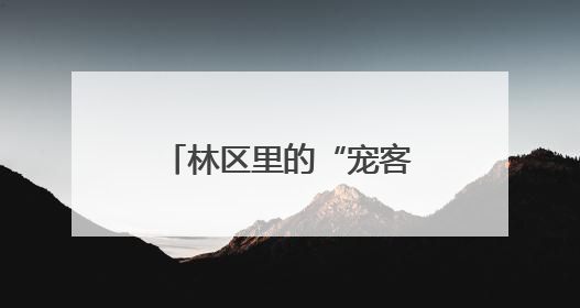 林区里的“宠客执法”｜湖北市场监管所的故事