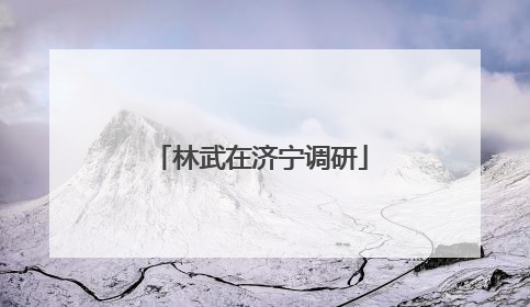 林武在济宁调研
