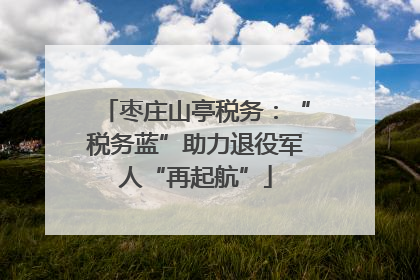 枣庄山亭税务：“税务蓝”助力退役军人“再起航”