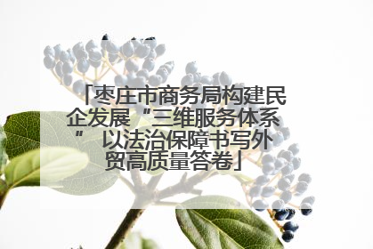 枣庄市商务局构建民企发展“三维服务体系” 以法治保障书写外贸高质量答卷