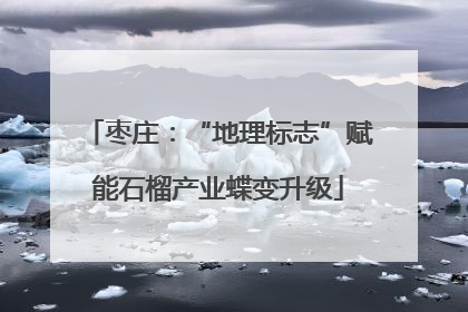 枣庄：“地理标志”赋能石榴产业蝶变升级