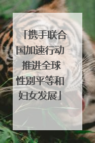 携手联合国加速行动 推进全球性别平等和妇女发展