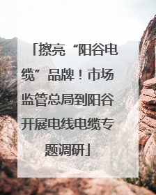 擦亮“阳谷电缆”品牌！市场监管总局到阳谷开展电线电缆专题调研