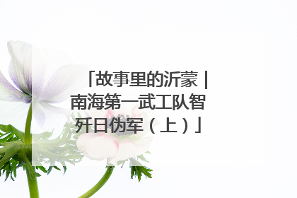 故事里的沂蒙｜南海第一武工队智歼日伪军（上）
