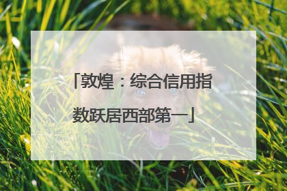 敦煌：综合信用指数跃居西部第一