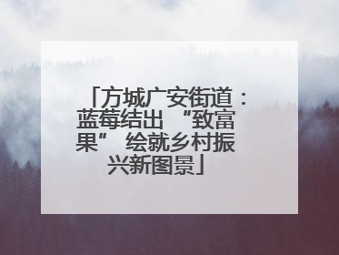 方城广安街道：蓝莓结出 “致富果” 绘就乡村振兴新图景