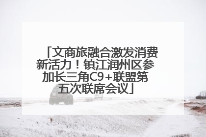 文商旅融合激发消费新活力！镇江润州区参加长三角C9+联盟第五次联席会议