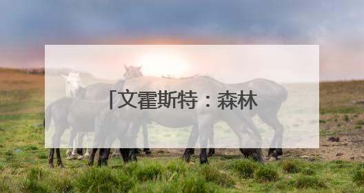 文霍斯特：森林狼在截止日前非常认真地想要交易得到杜兰特