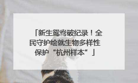 新生鸳鸯破纪录！全民守护绘就生物多样性保护“杭州样本”