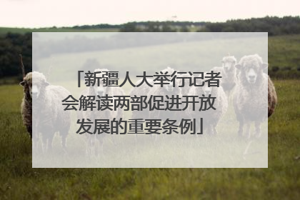 新疆人大举行记者会解读两部促进开放发展的重要条例