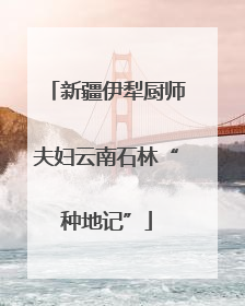 新疆伊犁厨师夫妇云南石林“种地记”