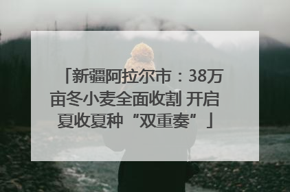 新疆阿拉尔市：38万亩冬小麦全面收割 开启夏收夏种“双重奏”