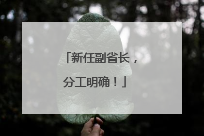 新任副省长，分工明确！