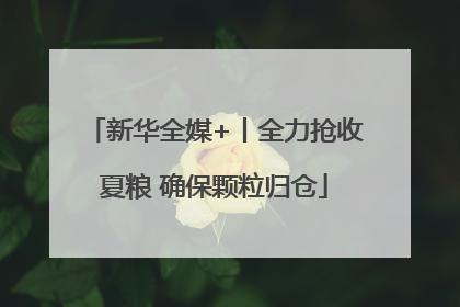 新华全媒+丨全力抢收夏粮 确保颗粒归仓