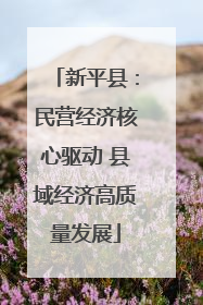 新平县：民营经济核心驱动 县域经济高质量发展