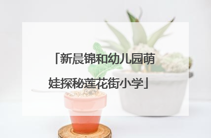 新晨锦和幼儿园萌娃探秘莲花街小学