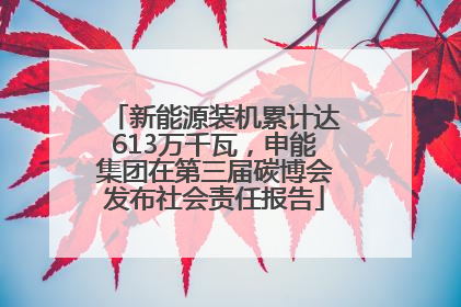 新能源装机累计达613万千瓦，申能集团在第三届碳博会发布社会责任报告