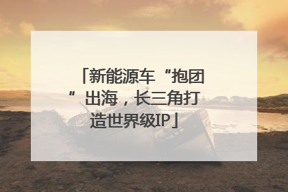 新能源车“抱团”出海，长三角打造世界级IP