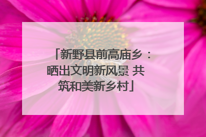 新野县前高庙乡：晒出文明新风景 共筑和美新乡村