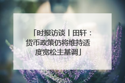 时报访谈丨田轩：货币政策仍将维持适度宽松主基调