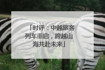 时评：中越旅客列车重启，跨越山海共赴未来