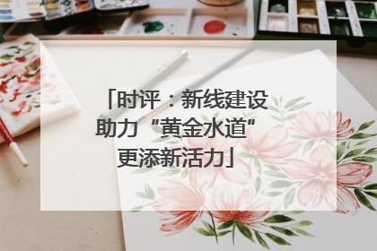 时评：新线建设助力“黄金水道”更添新活力