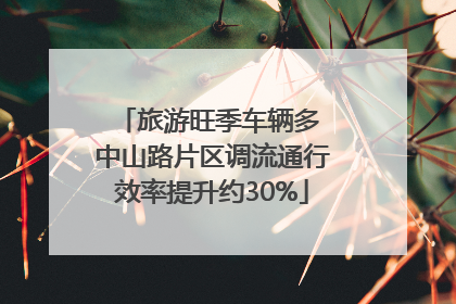 旅游旺季车辆多 中山路片区调流通行效率提升约30%