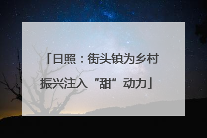 日照：街头镇为乡村振兴注入“甜”动力