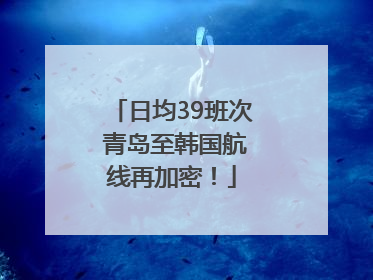 日均39班次 青岛至韩国航线再加密！