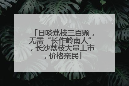 日啖荔枝三百颗，无需“长作岭南人”，长沙荔枝大量上市，价格亲民