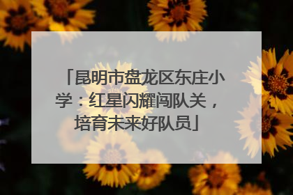 昆明市盘龙区东庄小学：红星闪耀闯队关，培育未来好队员