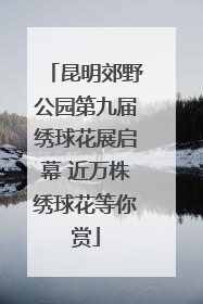 昆明郊野公园第九届绣球花展启幕 近万株绣球花等你赏