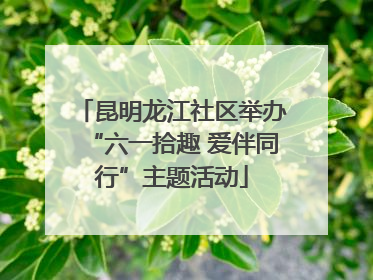 昆明龙江社区举办“六一拾趣 爱伴同行”主题活动