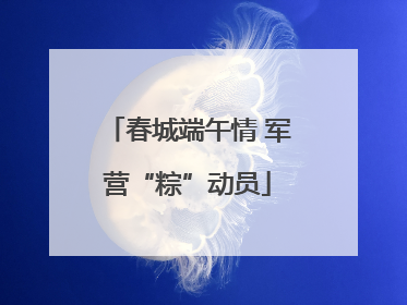 春城端午情 军营“粽”动员