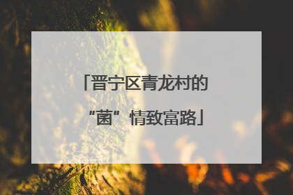 晋宁区青龙村的“菌”情致富路