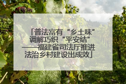 普法富有“乡土味” 调解巧织“平安结”——福建省司法厅推进法治乡村建设出成效