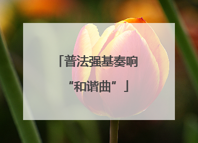 普法强基奏响“和谐曲”