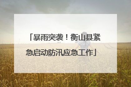 暴雨突袭！衡山县紧急启动防汛应急工作