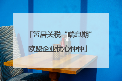 暂居关税“喘息期” 欧盟企业忧心忡忡