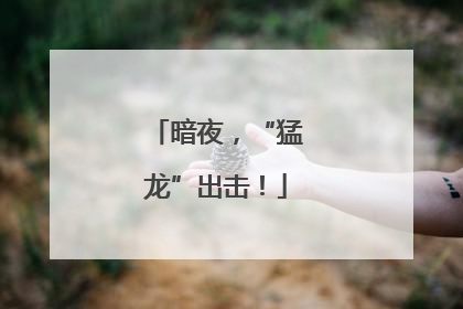暗夜，“猛龙”出击！