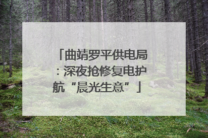 曲靖罗平供电局：深夜抢修复电护航“晨光生意”