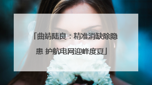 曲靖陆良：精准消缺除隐患 护航电网迎峰度夏