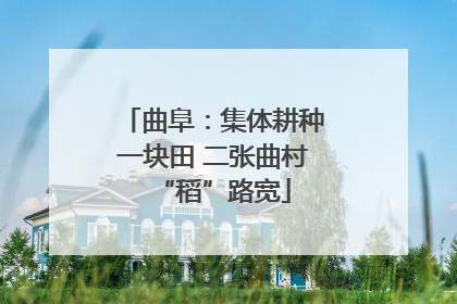 曲阜：集体耕种一块田 二张曲村“稻”路宽