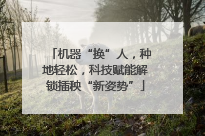 机器“换”人，种地轻松，科技赋能解锁插秧“新姿势”
