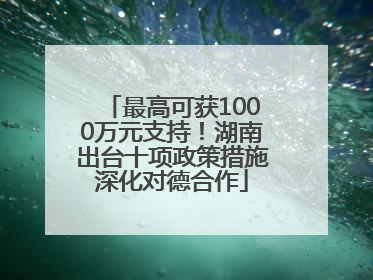 最高可获1000万元支持！湖南出台十项政策措施深化对德合作